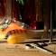 images/fluebindere/alois_trubner/Sunburst HollowTiger 6inch insta.jpg